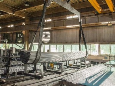 糖心APP下载污中的化学元素作用